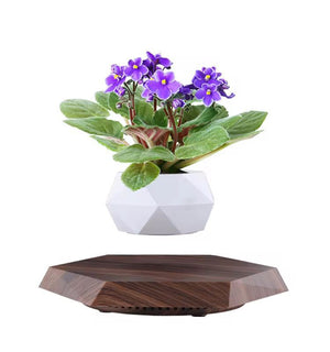 Floating Magnetic Flower Pot | أصيص نبات عائم